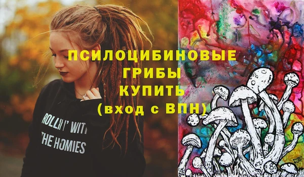 spice Аркадак