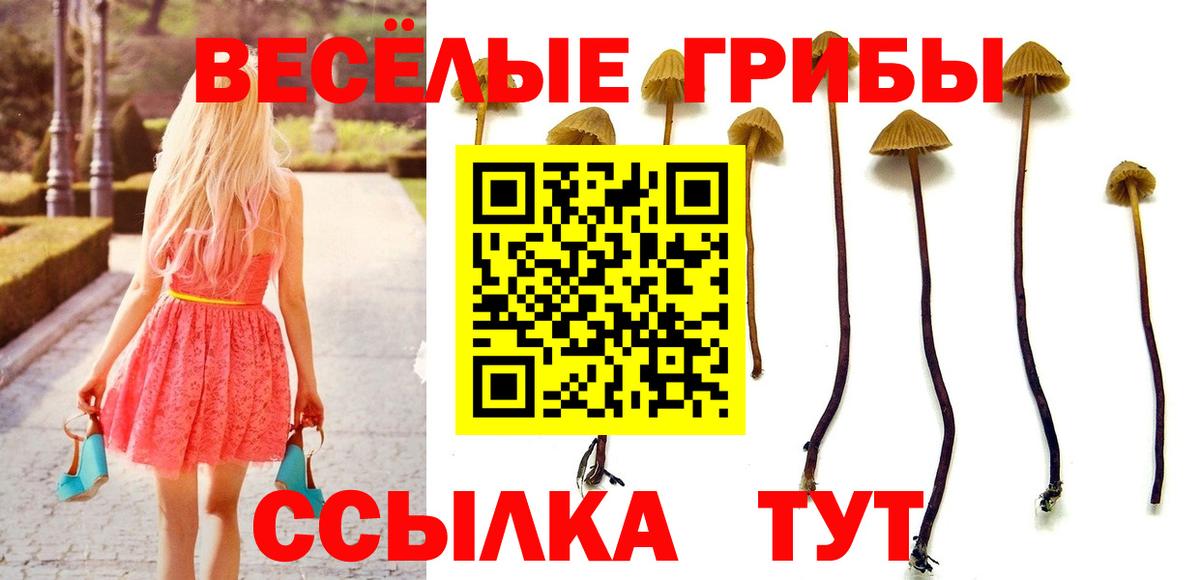 Псилоцибиновые грибы мухоморы  Вход с VPN  где можно купить   Темрюк 
