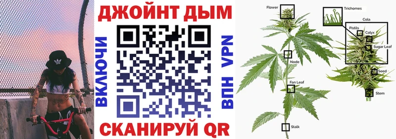 МЕГА онион  Темрюк  Бошки марихуана Amnesia 
